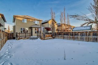 Photo 45: 419 New Brighton Place SE in Calgary: New Brighton Detached for sale : MLS®# A2016804