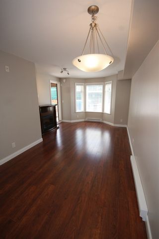 Photo 7: 237 5660 201A Street in Langley: Langley City Condo for sale in "Paddinton Station" : MLS®# R2188422