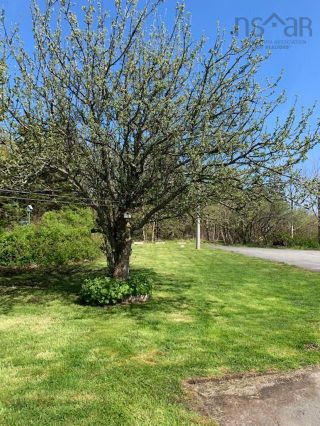 Photo 17: 3503 Highway 3 in Barrington Passage: 407-Shelburne County Residential for sale (South Shore)  : MLS®# 202211401