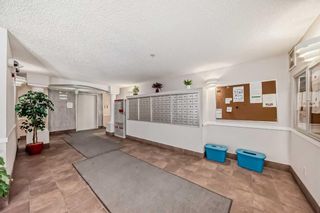 Photo 38: 1410 6224 17 Avenue SE in Calgary: Red Carpet Apartment for sale : MLS®# A2130703