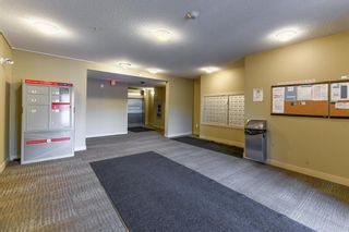 Photo 21: 4117 403 Mackenzie Way: Airdrie Apartment for sale : MLS®# A2044327