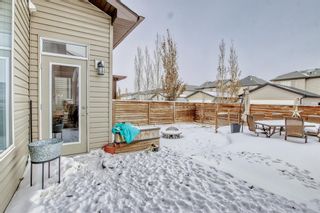 Photo 40: 52 Baywater Court SW: Airdrie Detached for sale : MLS®# A2011934