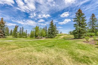 Photo 31: 975 Erin Woods Drive SE in Calgary: Erin Woods Detached for sale : MLS®# A2052040