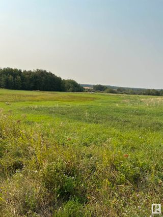 Photo 8: Township 565A & Range Road 20: Rural Lac Ste. Anne County Rural Land/Vacant Lot for sale : MLS®# E4311967