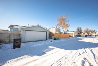 Photo 40: 76 Appletree Crescent SE in Calgary: Applewood Park Detached for sale : MLS®# A2013031