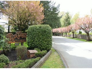 Photo 10: 29 8555 KING GEORGE Boulevard in Surrey: Queen Mary Park Surrey Townhouse for sale in "Bear Creek Village" : MLS®# F1409943