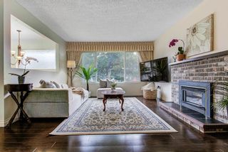 Photo 3: 11745 GRAVES Street in Maple Ridge: Southwest Maple Ridge House for sale : MLS®# R2573067
