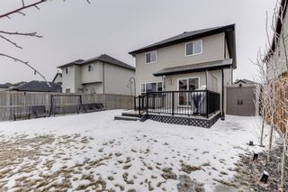 Photo 37: 10 Royal Birch Way NW in Calgary: Royal Oak Detached for sale : MLS®# A1189175