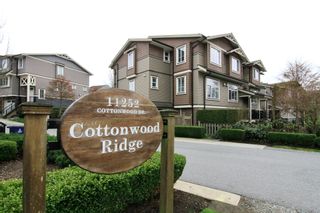 Photo 24: 18 11252 COTTONWOOD Drive in Maple Ridge: Cottonwood MR Townhouse for sale in "COTTONWOOD RIDGE" : MLS®# R2780284