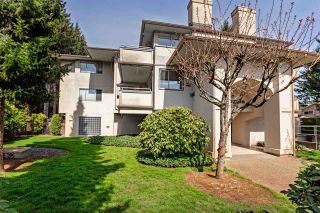 Photo 2: 105 33675 MARSHALL Road in Abbotsford: Central Abbotsford Condo for sale in "THE HUNTINGDON" : MLS®# R2561341