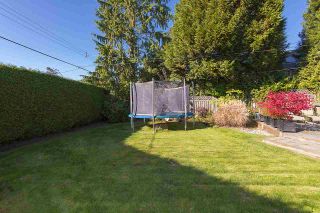 Photo 19: 4469 PINE Crescent in Vancouver: Shaughnessy House for sale (Vancouver West)  : MLS®# R2003674