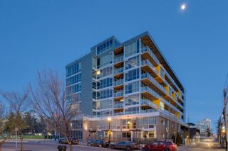 Photo 49: 801 235 9A Street NW in Calgary: Sunnyside Apartment for sale : MLS®# A1215329