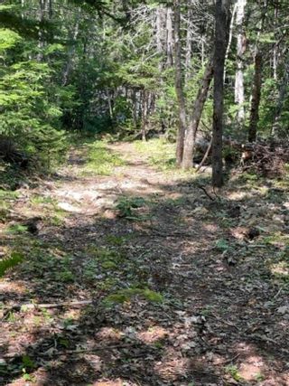 Photo 8: 1 Maclean Road in Head Of St. Margarets Bay: 40-Timberlea, Prospect, St. Marg Vacant Land for sale (Halifax-Dartmouth)  : MLS®# 202218780