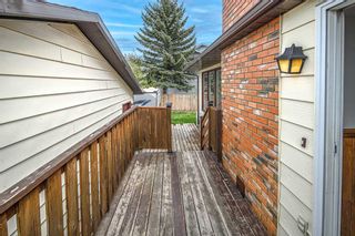 Photo 31: 347 Templevale Place NE in Calgary: Temple Detached for sale : MLS®# A2132443