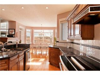 Photo 5: 1 Ridge Pointe Drive: Heritage Pointe House for sale : MLS®# C4052593