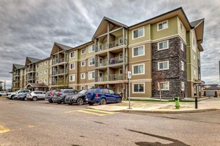 Main Photo: 2307 181 Skyview Ranch Manor NE in Calgary: Skyview Ranch Apartment for sale : MLS®# A2130463