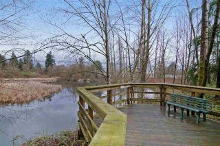 Photo 15: 206 2559 PARKVIEW Lane in Port Coquitlam: Central Pt Coquitlam Condo for sale in "The Crescent" : MLS®# R2105568