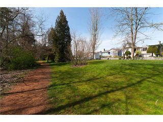 Photo 10: 3043 ROSEMONT Drive in Vancouver: Fraserview VE House for sale (Vancouver East)  : MLS®# V942575