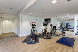Photo 28: 208 325 3 Street SE in Calgary: Downtown East Village Apartment for sale : MLS®# A1235998