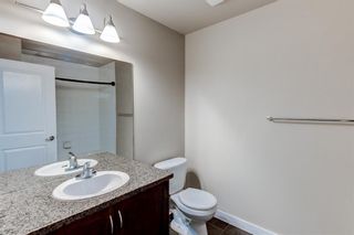 Photo 22: 1315 1053 10 Street SW in Calgary: Beltline Apartment for sale : MLS®# A2047599