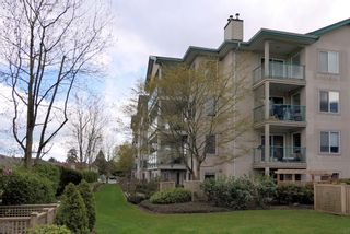 Photo 22: 203 20443 53RD Avenue in Langley: Langley City Condo for sale in "Countryside Estates" : MLS®# R2676692