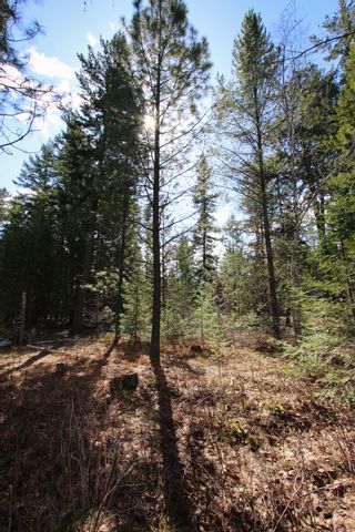 Photo 19: Lot B Zinck Road in Scotch Creek: Land Only for sale : MLS®# 10249220