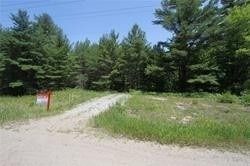 Photo 11: 5238 County Rd 121 Road in Minden Hills: Property for sale : MLS®# X4678347
