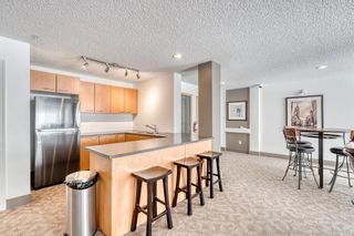 Photo 13: 224 22 Richard Place SW in Calgary: Lincoln Park Apartment for sale : MLS®# A2032133