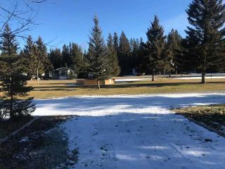 Photo 8: 1 Timber Road: Sundre Residential Land for sale : MLS®# A2107101