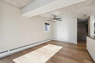 Photo 15: 6 2031 34 Avenue SW in Calgary: Altadore Apartment for sale : MLS®# A2105013