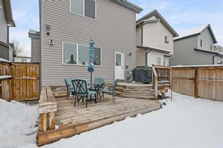 Photo 32: 16 Copperpond Parade SE in Calgary: Copperfield Detached for sale : MLS®# A2124610