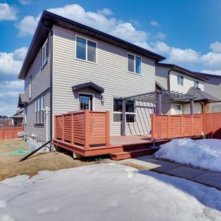 Photo 46: 3 Skyview Springs Manor NE in Calgary: Skyview Ranch Detached for sale : MLS®# A2036422