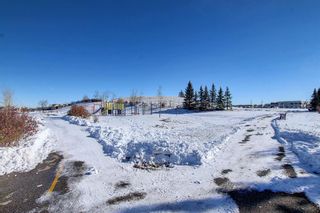 Photo 41: 96 Brightondale Close SE in Calgary: New Brighton Detached for sale : MLS®# A2010399
