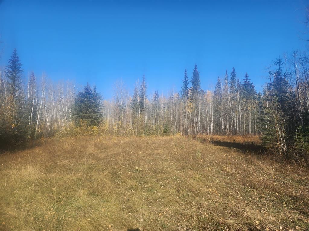 Main Photo: Township Rd 711 Township W: Valleyview Commercial Land for sale : MLS®# A2006987