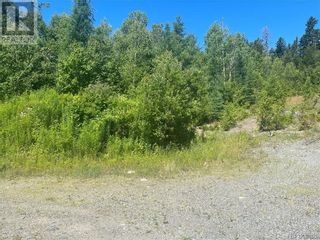 Photo 7: 1137 Route 170 in Oak Bay: Vacant Land for sale : MLS®# NB075049