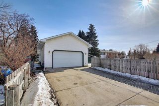 Photo 47: 321 Main Street NW: Airdrie Detached for sale : MLS®# A1075932