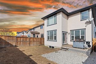 Photo 5: 196 cranberry Circle SE in Calgary: Cranston Detached for sale : MLS®# A1203880