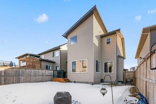 Photo 38: 14 Walden Grove SE in Calgary: Walden Detached for sale : MLS®# A2124458