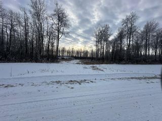 Photo 3: 9 Westview Country Estates L9 in Rural Northern Lights, County of: Rural Northern Lights M.D. Residential Land for sale : MLS®# A2103539