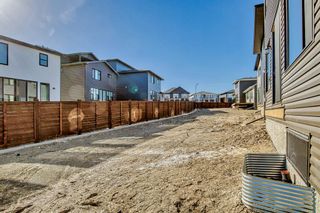Photo 44: 38 Rowley Park NW in Calgary: C-483 Detached for sale : MLS®# A2046176