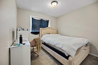 Photo 19: 346 Mckenzie Towne Link SE in Calgary: McKenzie Towne Row/Townhouse for sale : MLS®# A2124528