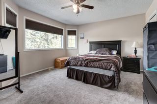 Photo 16: 860 Riverbend Drive SE in Calgary: Riverbend Detached for sale : MLS®# A1228036