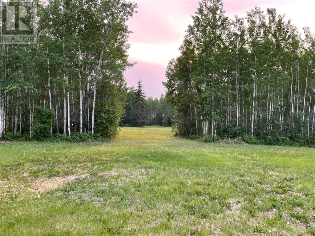 Main Photo: Lot #2 in Rural Mackenzie County: Vacant Land for sale : MLS®# A2057591