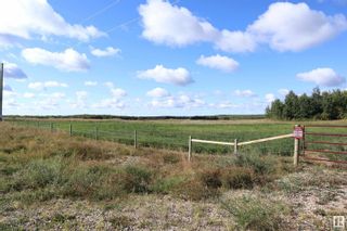 Photo 8: Hwy 611 RR 11: Rural Ponoka County Rural Land/Vacant Lot for sale : MLS®# E4314403