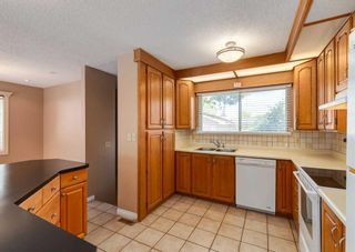 Photo 8: 163 Cedar Ridge Crescent SW in Calgary: Cedarbrae Detached for sale : MLS®# A2073462