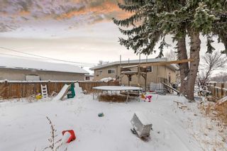 Photo 22: 61 Huntford Close NE in Calgary: Huntington Hills Semi Detached (Half Duplex) for sale : MLS®# A2116796