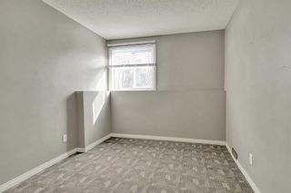 Photo 23: 30 8112 36 Avenue NW in Calgary: Bowness Row/Townhouse for sale : MLS®# A2122504