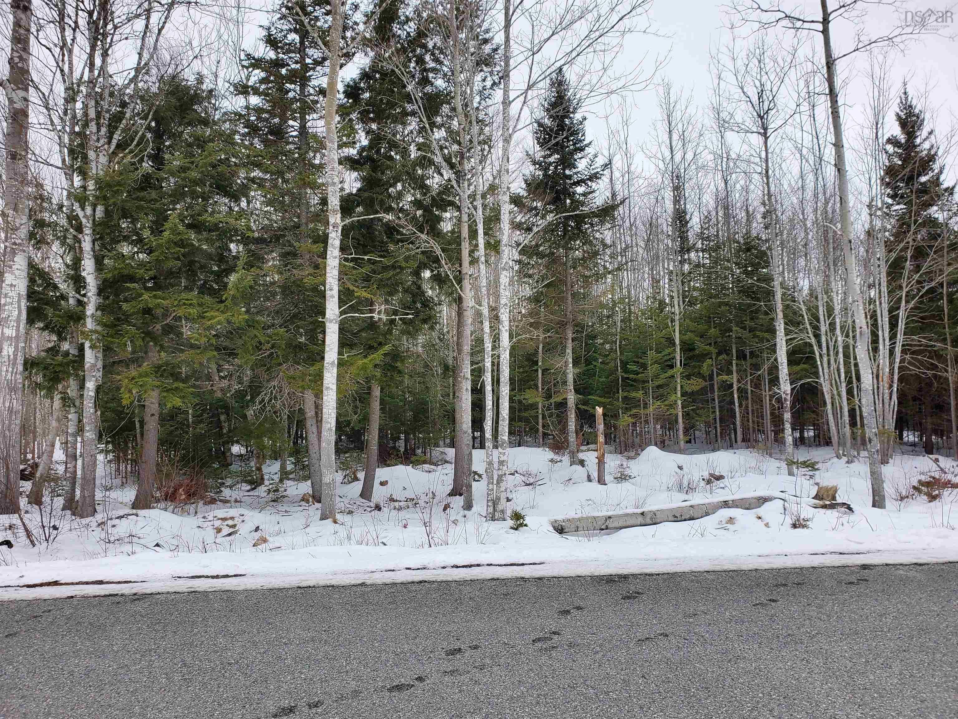 Main Photo: Lot 10 Stewart Road in Lyons Brook: 108-Rural Pictou County Vacant Land for sale (Northern Region)  : MLS®# 202302243