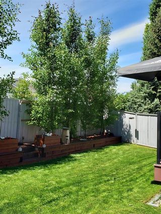 Photo 43: 101 Shawbrooke Close SW in Calgary: Shawnessy Detached for sale : MLS®# A1177651