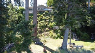 Photo 6: 4099 S Island Hwy in Campbell River: CR Campbell River South House for sale : MLS®# 912371
